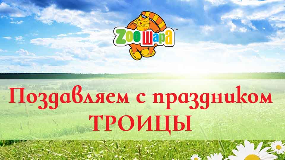 Зоошара. Поздравление с праздником Троицы